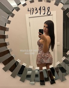 Транс Алматы Анкета №493198 Фотография №3719239