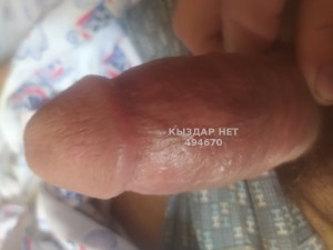 Жиголо Караганды Парень№494670 Сергей Фотография №3729502