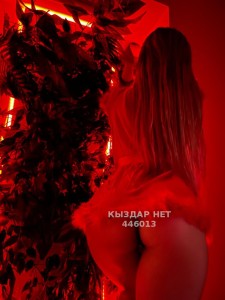 Проститутка Алматы Анкета №446013 Фотография №3942751